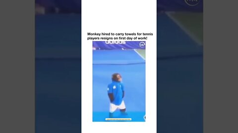 Monkey Not feeling it job! 😹😹😹 #shorts #viral #youtubeshorts #youtube #reels