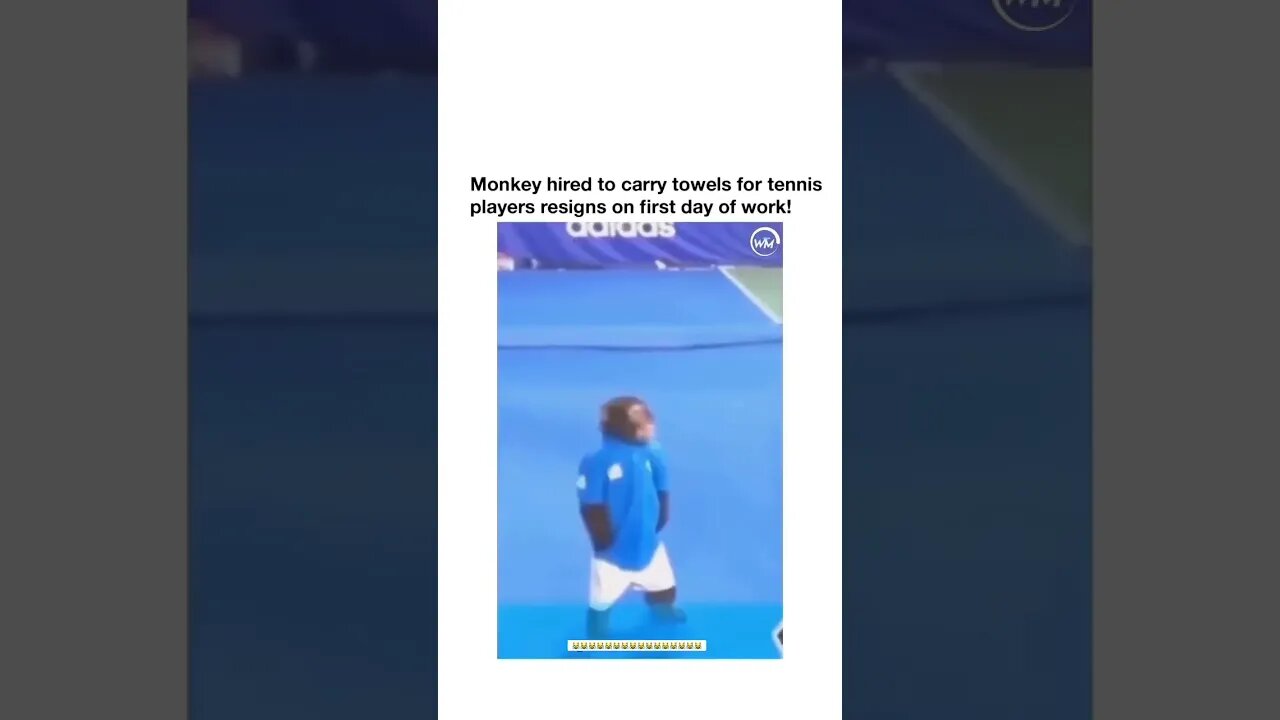 Monkey Not feeling it job! 😹😹😹 #shorts #viral #youtubeshorts #youtube #reels