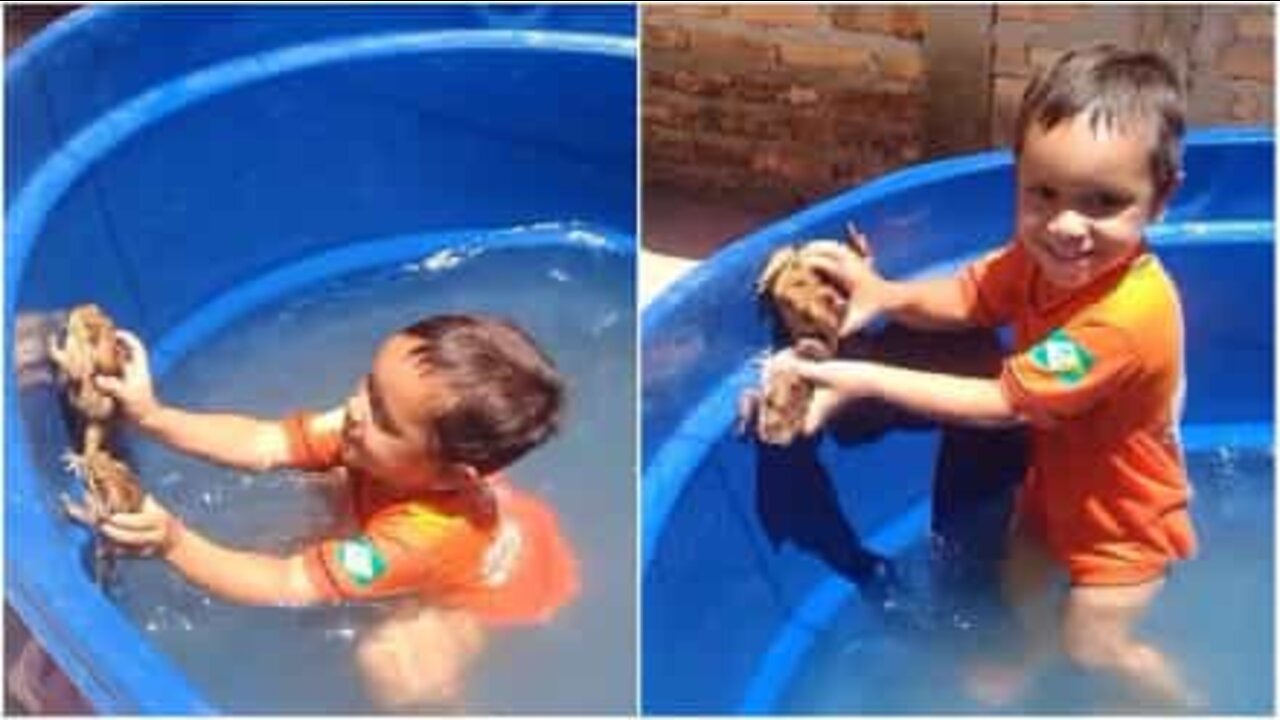 Child plays with frogs like they're toys