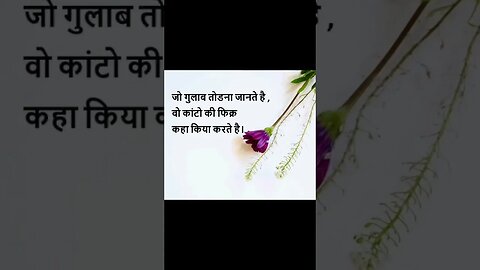 Motivational shayari