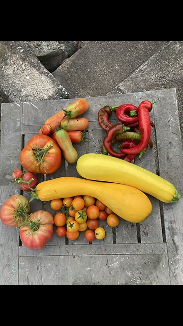 Sunday morning garden goodies