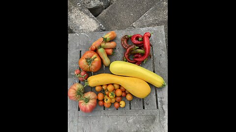 Sunday morning garden goodies