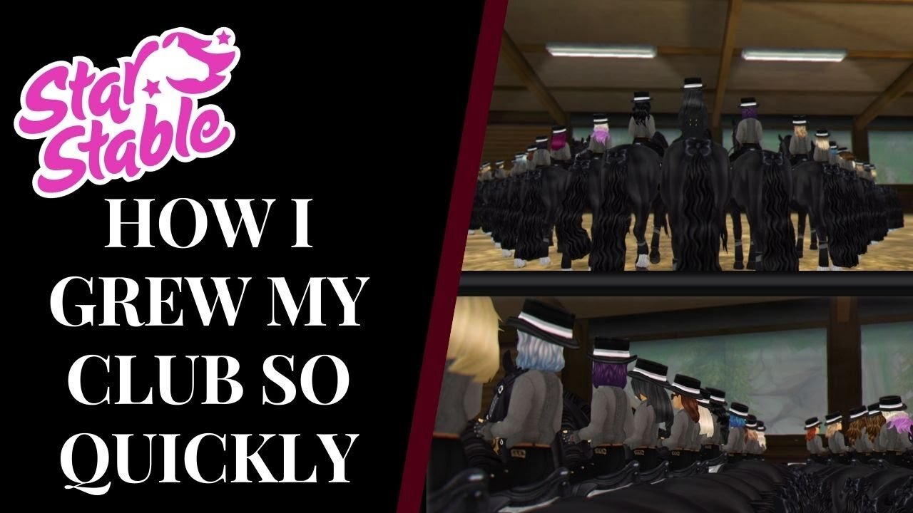 MY NUMBER ONE CLUB OWNING SECRET! Star Stable Quinn Ponylord