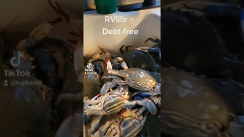 Debt-free RVlife