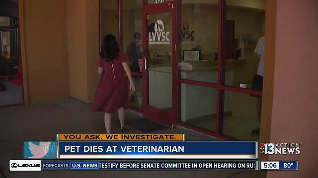 Las Vegas woman says misplaced feeding tube killed her dog