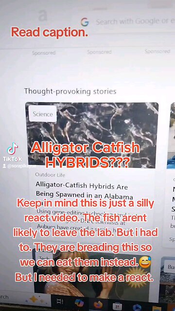 alligator Catfish hybrids? Nope! might draw it , though.