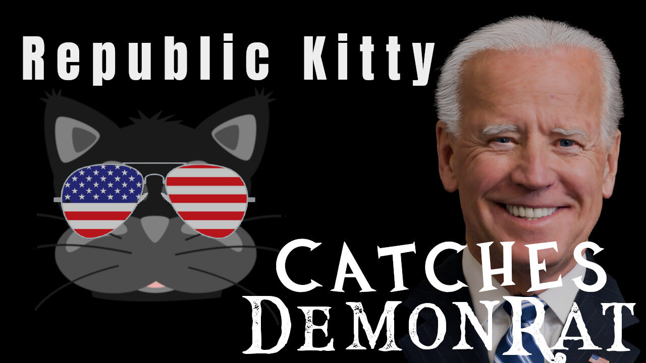 Republic Kitty Catches Delusional Demonrat Biden