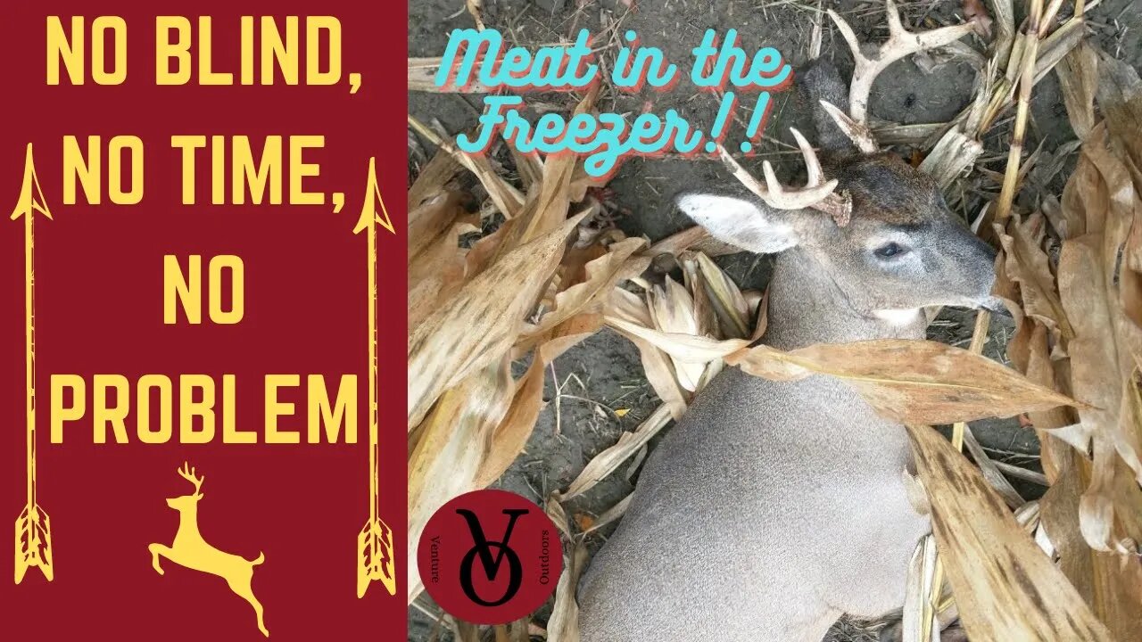 Meat in the Freezer (Buck Down)