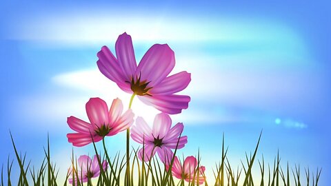 Calm Down Instantly with Soothing Piano Music & Nature ASMR | Meadow Melody Bliss | Stress Relief