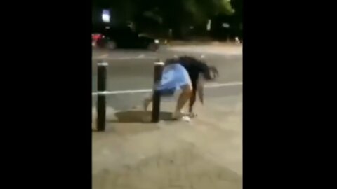 04 Funny Videos