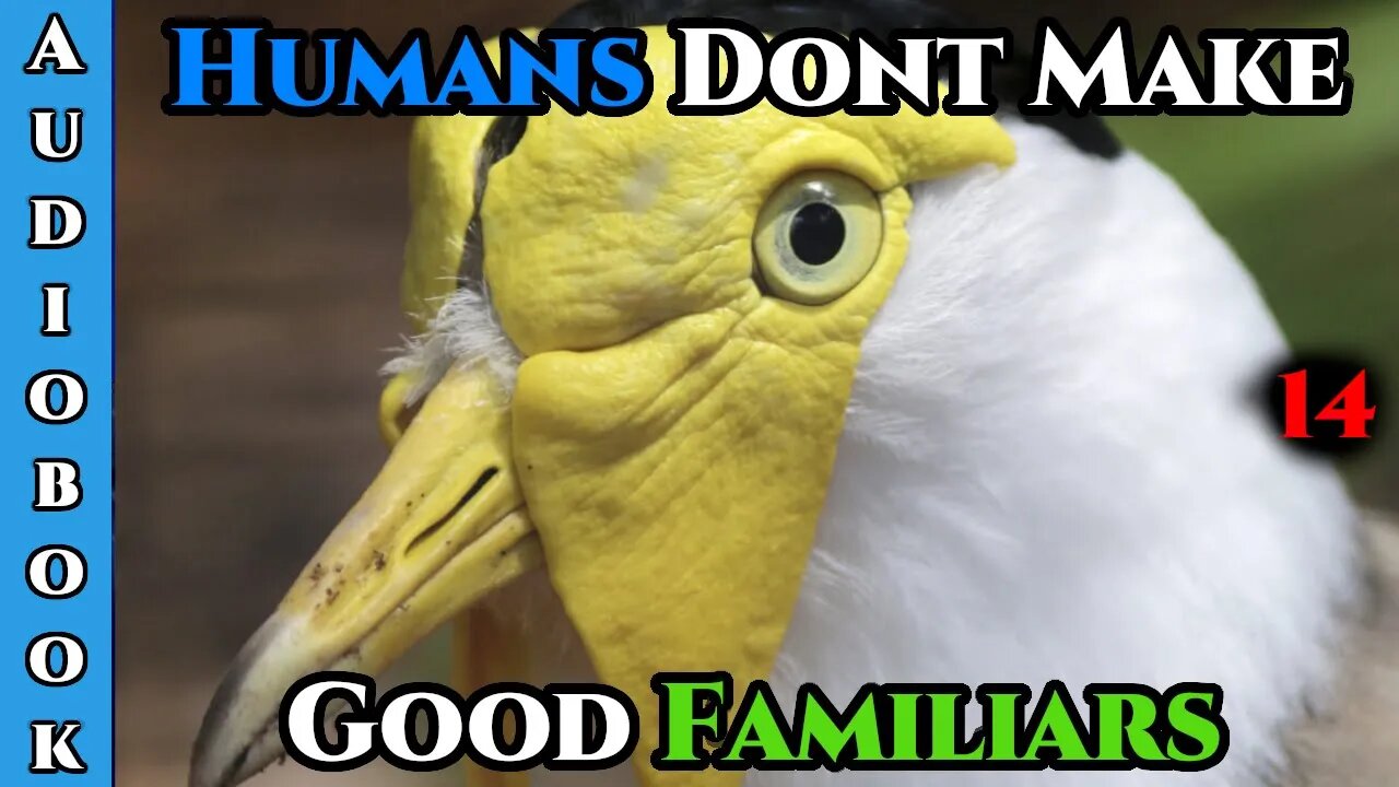 Humans Don't make Good Familiars (Ongoing) - Ch.14 | HFY | Fantasy