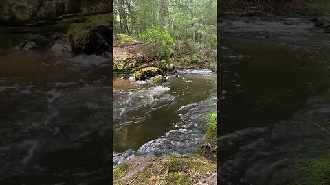 The sound of rushing water is so calming. Enjoy the view! #natureshorts #outdoors #fishing #reels