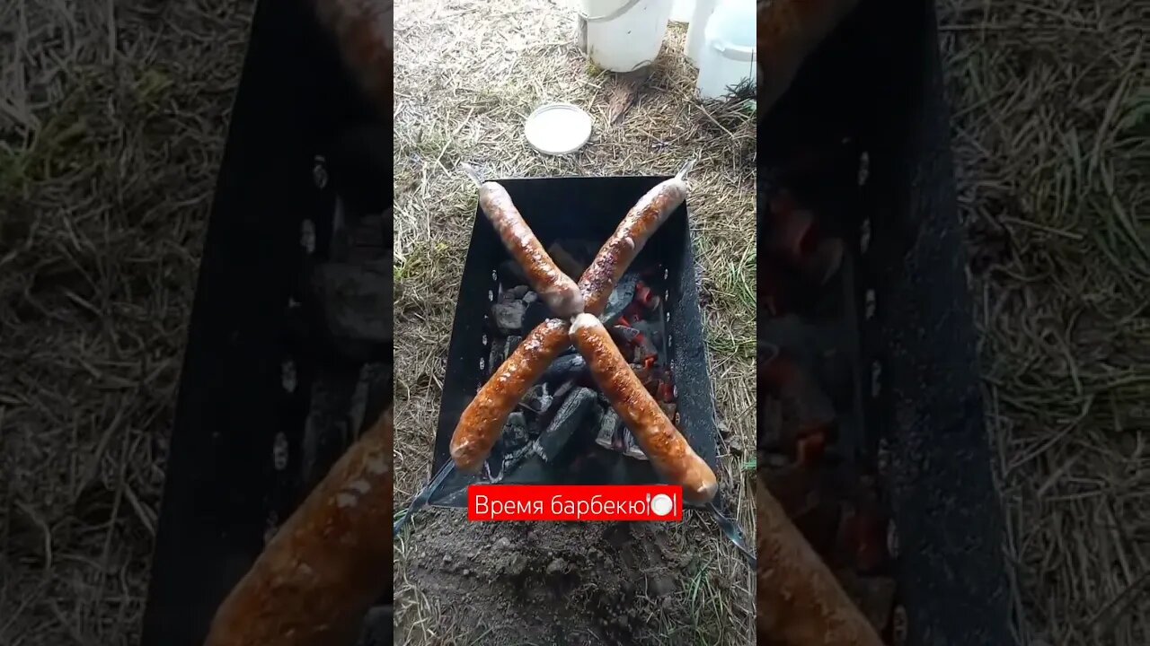 Время барбекю 🍽😁| #shorts #short #barbecue #shortvideo #shortsvideo #food #meat #like #subscribe