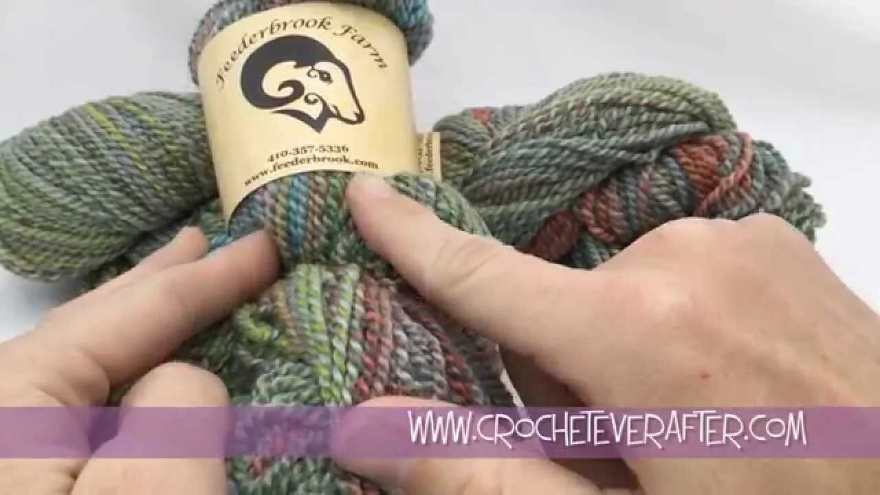 Review of Feederbrook Farm Entropy Yarn