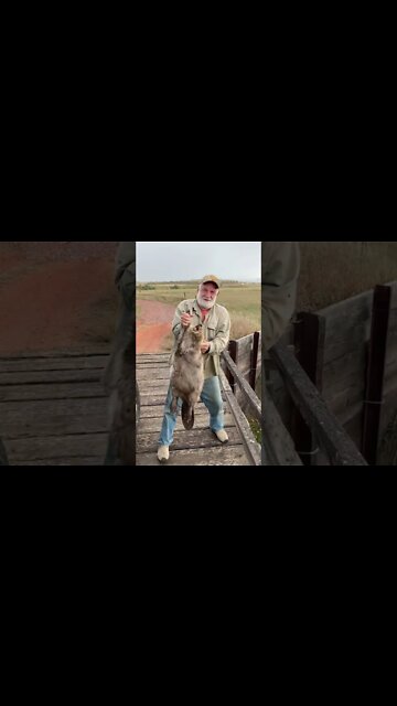 Proper Beaver burial.