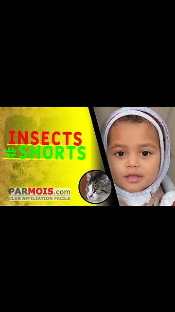 Insects #shorts