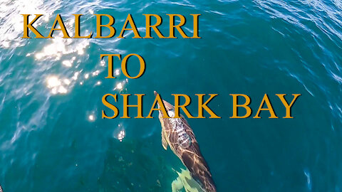 Kalbarri to shark bay - Ep 13