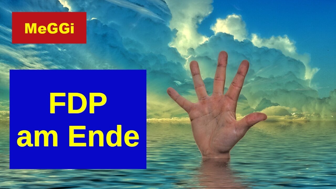 MeGGi - FDP am Ende