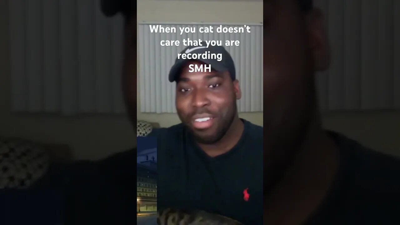 When your cat doesn’t care that you are recording a video smh #anime #cats #cat