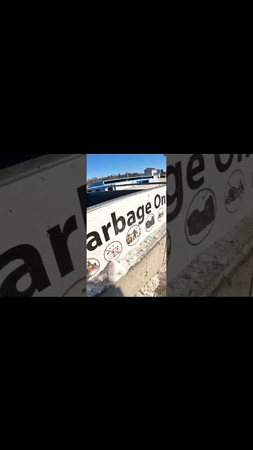 Garbage dump takes out whole bin