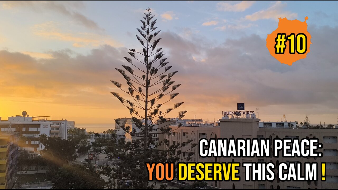 Morning Meditation in the Canary Islands: You Deserve This Calm! | Timelapse Edition 🌅