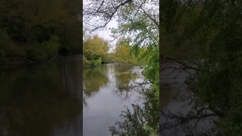 beautiful fall season river
