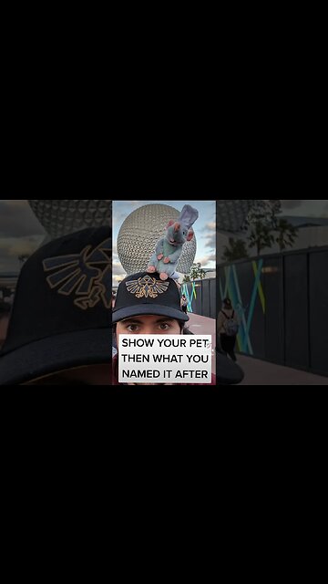 What I Named My Pet Rat #rat #trending #pet