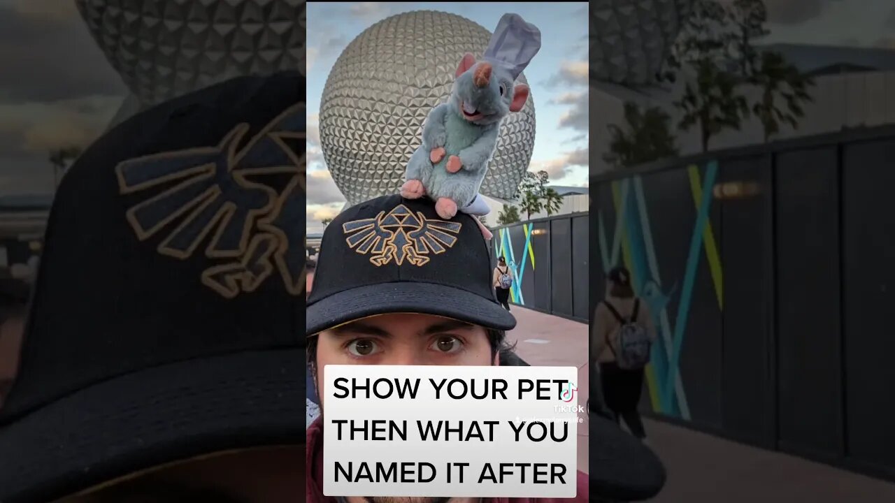 What I Named My Pet Rat #rat #trending #pet