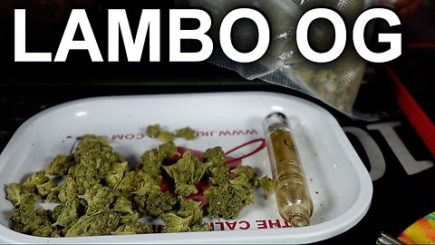 GET READY TO REV UP YOUR CHILL! 🚗💨 LAMBO OG STRAIN REVIEW FROM JK DISTRO! 🌿✨