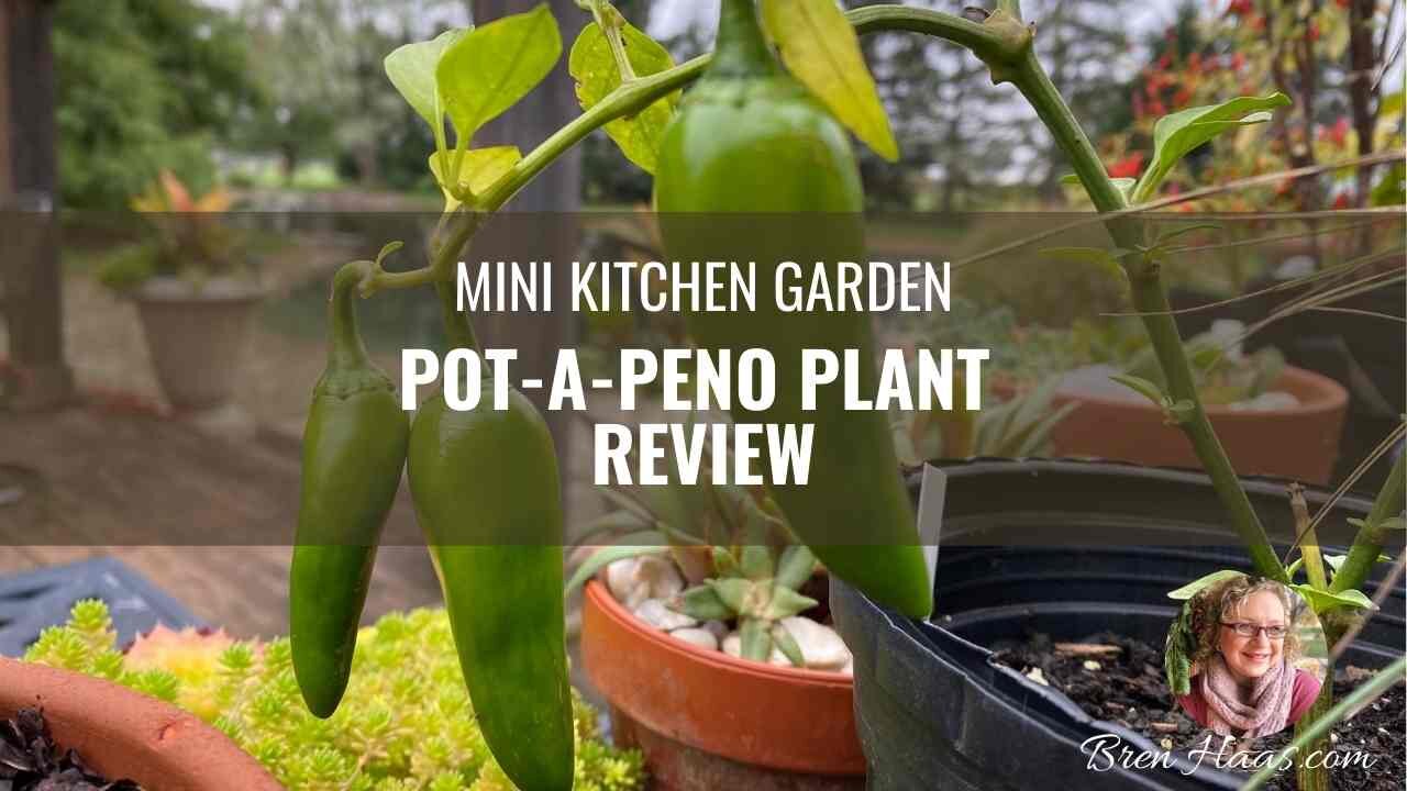 Pot-A-Peno Pepper Review