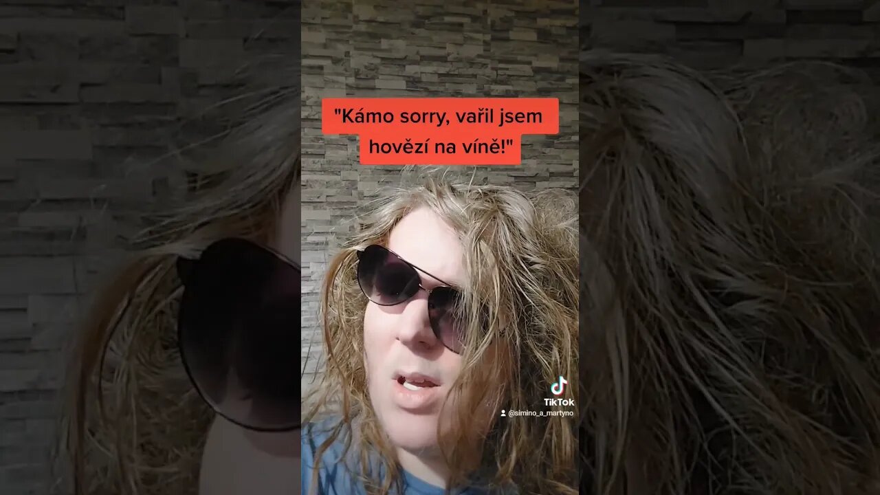 VAŘIL jsem HOVĚZÍ na VÍNĚ a u třetí LÁHVE jsem zapomněl, PROČ jsem v KUCHYNI! #funny #shorts #cz