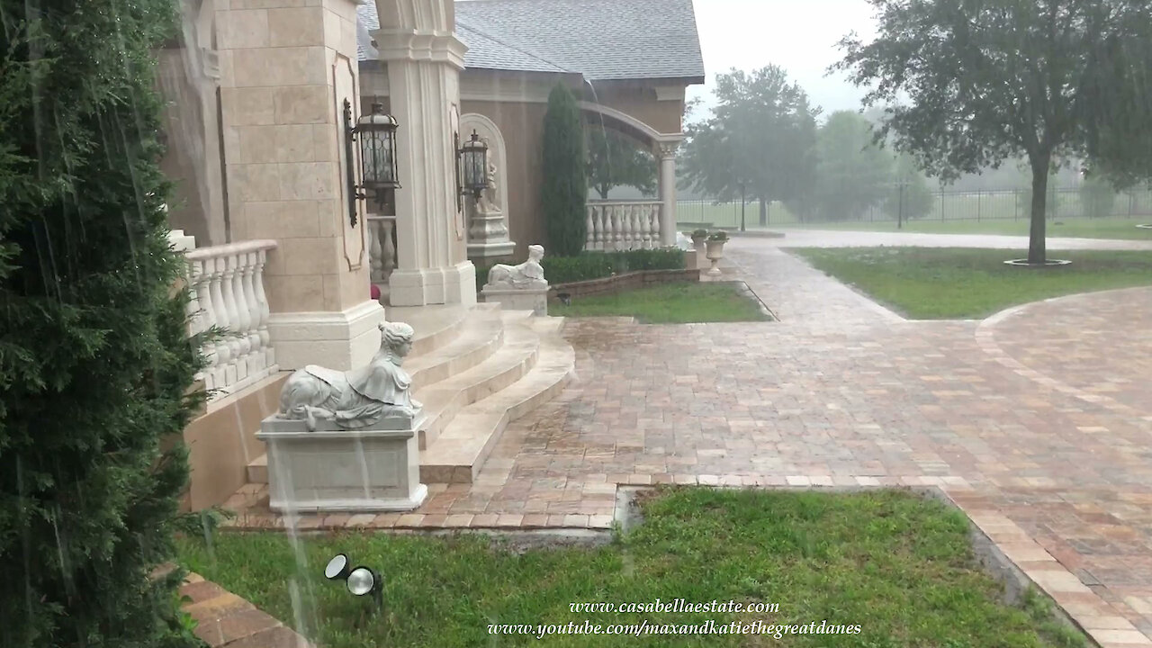 Great Dane Watches Florida Thunderstorm Create A Waterfall