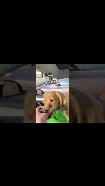 Feed ME!!! I'm So Hungry! #shorts