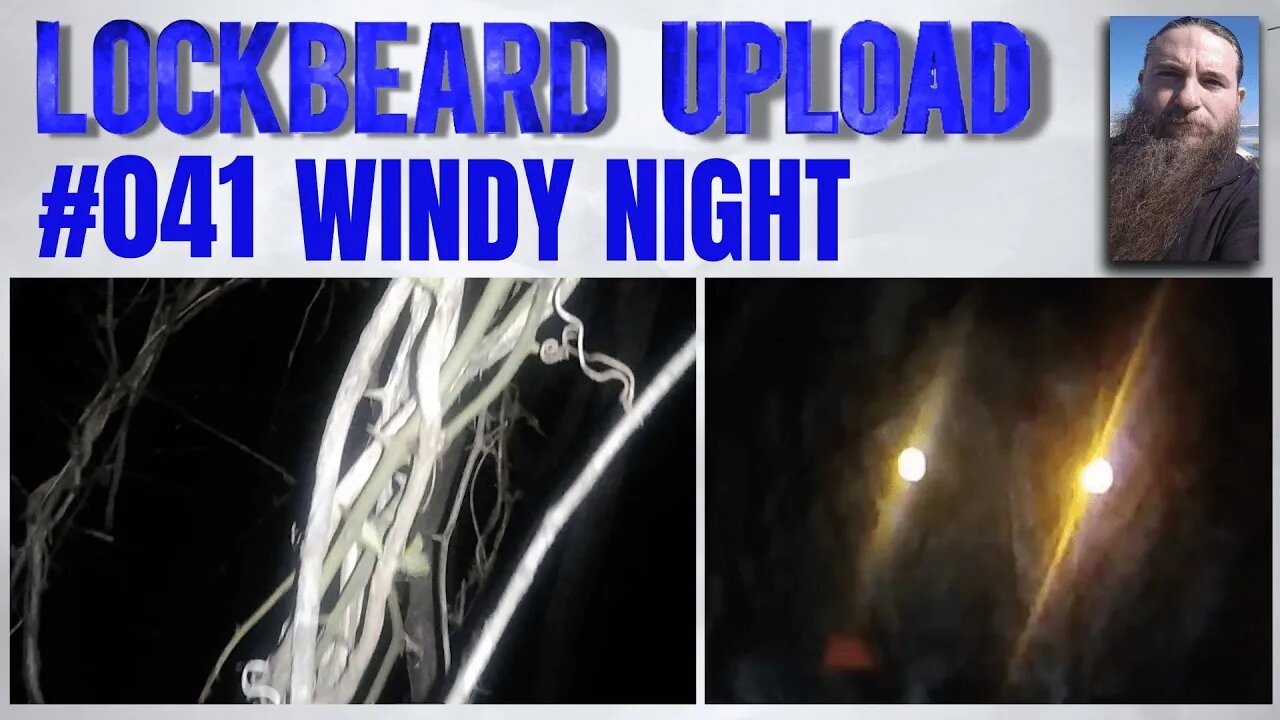UPLOAD #041 Windy Night