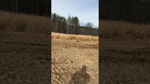 Get the rock￼ Norman