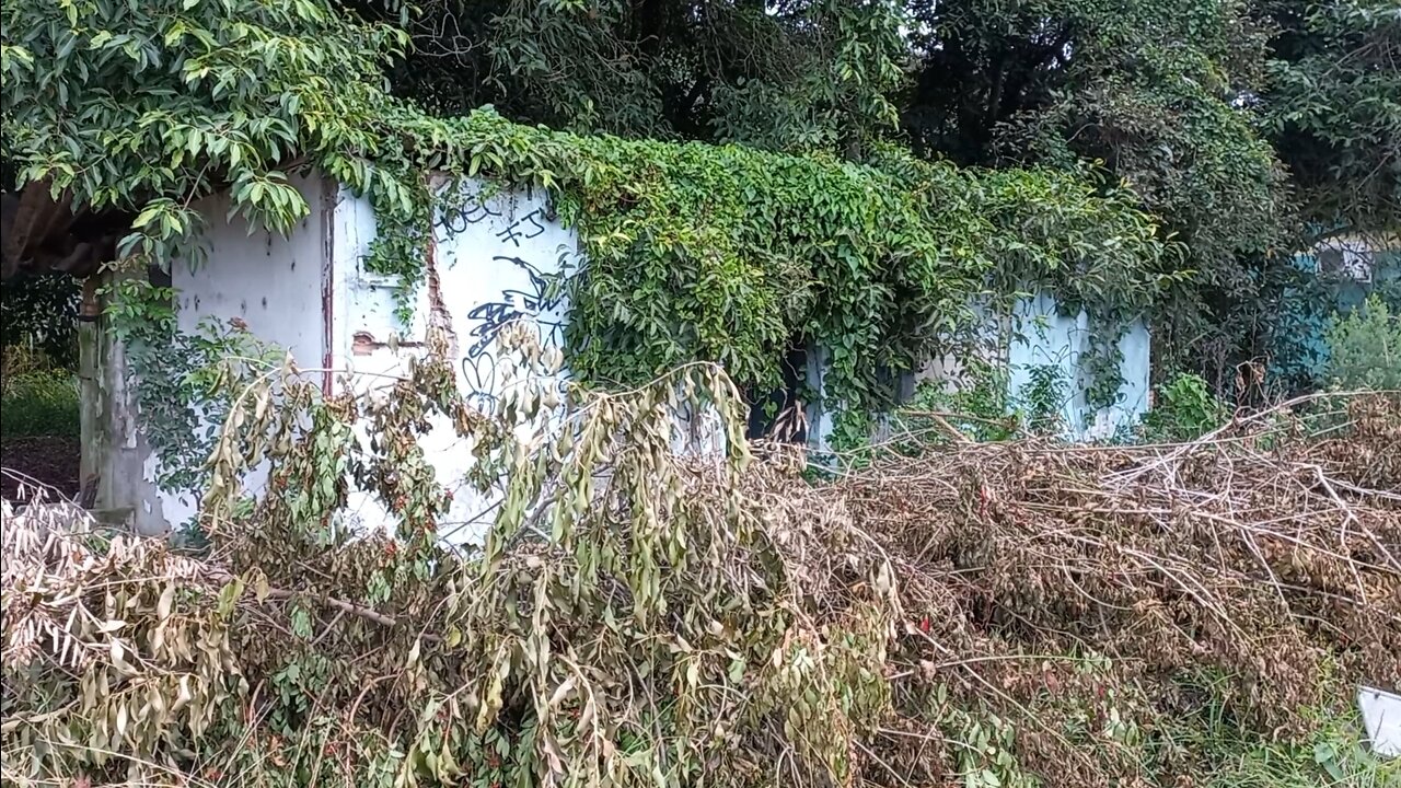 Chácara com duas casas abandonadas