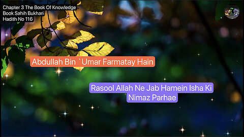 ❤️ Abdullah Bin`Umar Farmatay Hain,Rasool Allah Ne Jab Hamein Isha Ki Nimaz Parhae,Hadees 116 ❤️