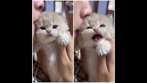 These two little ears are so cute 🥰