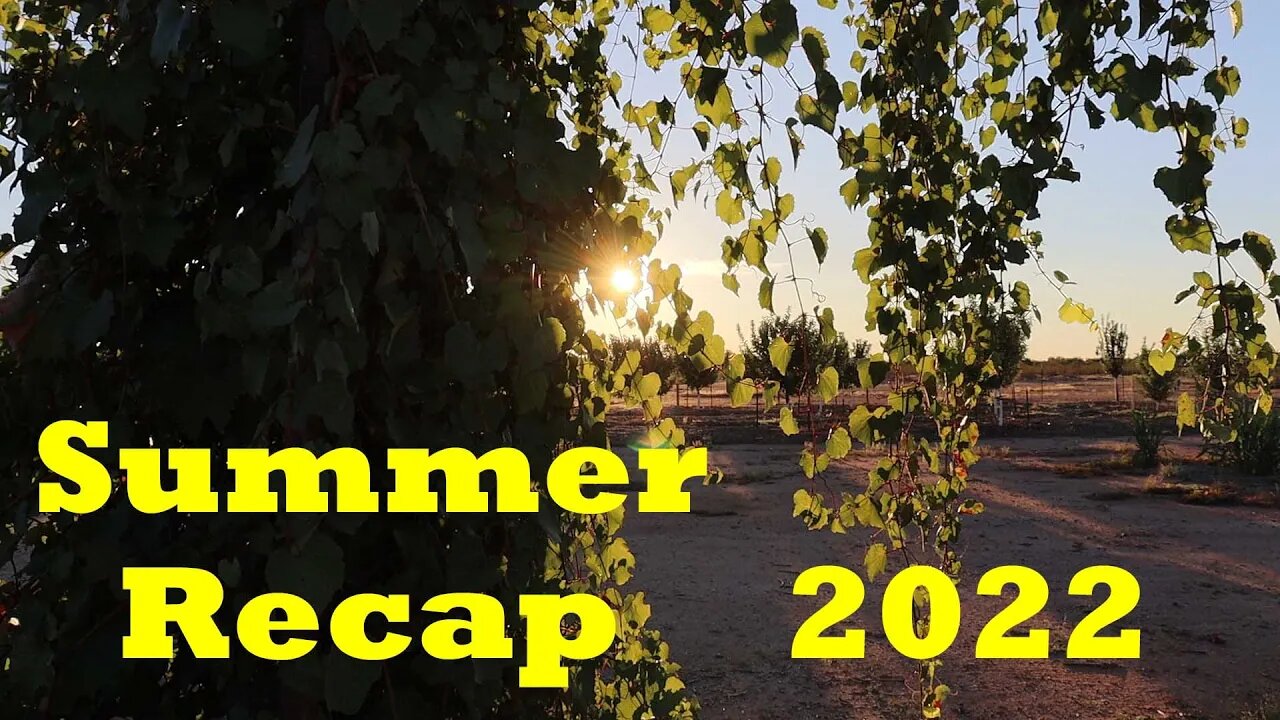 Summer Recap | The Desert Farmer Podcast