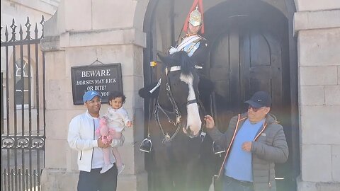 Tourist just laughs when the guard yanks the Reins away from his hand #horseguardsparade