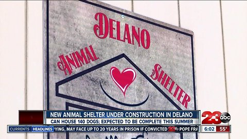 New $1.6 million animal shelter under construction in Delano