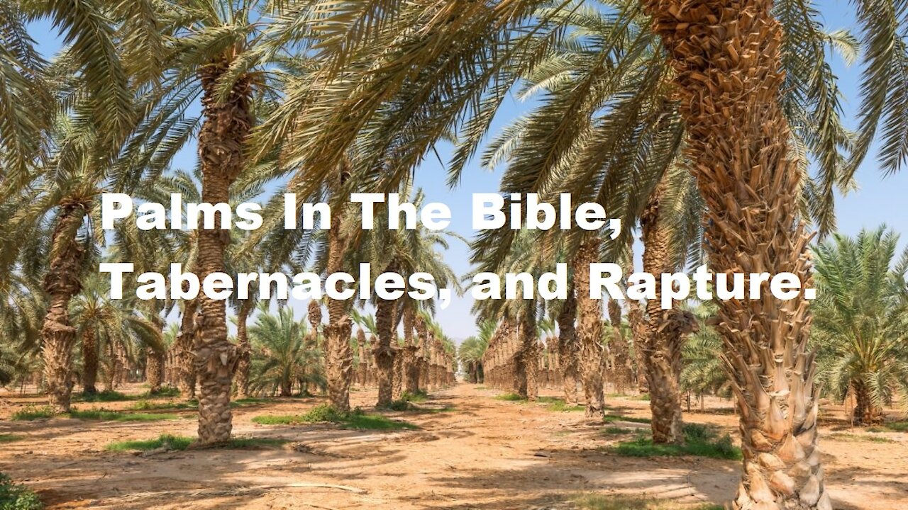 Palms In The Bible, Tabernacles, and Rapture.