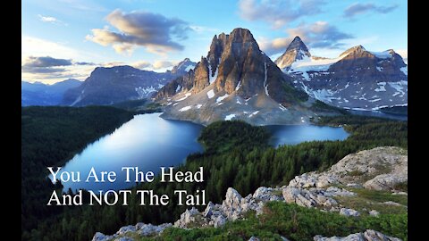 You Are The Head And Not The Tail