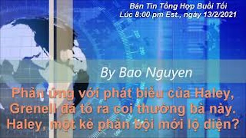 Tin Tức Và Bình Luận | Grenell đã phản ứng với Nikki Haley, thêm một kẻ phản bội mới lộ diện?