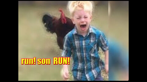 Chicken Vs Kids Compilations