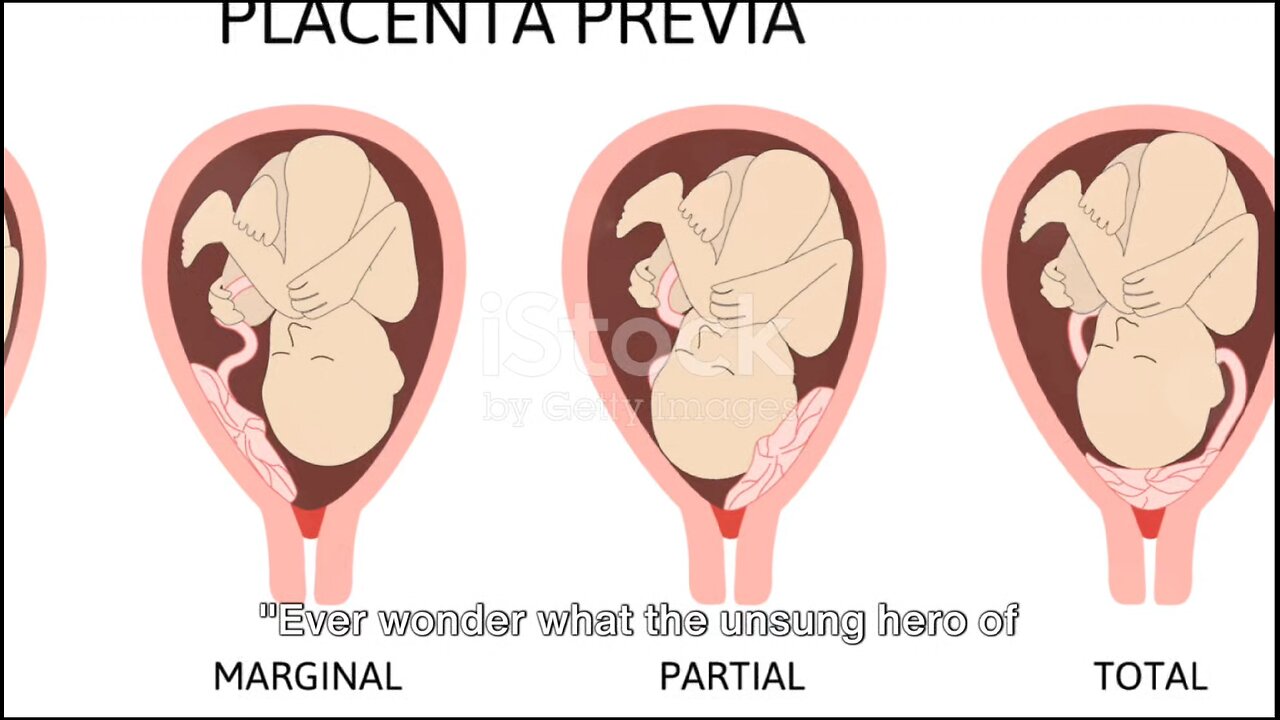 The development of Placenta