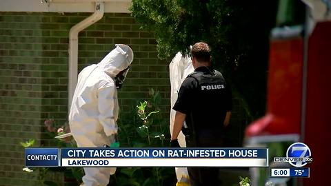 Code enforcement officers find evidence of 'extensive rat infestation' in Lakewood home