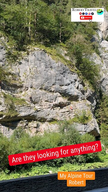 Are they looking for anything? 😂 My Alpine Tour Robert #alps #alp #italy #austria