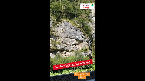 Are they looking for anything? 😂 My Alpine Tour Robert #alps #alp #italy #austria