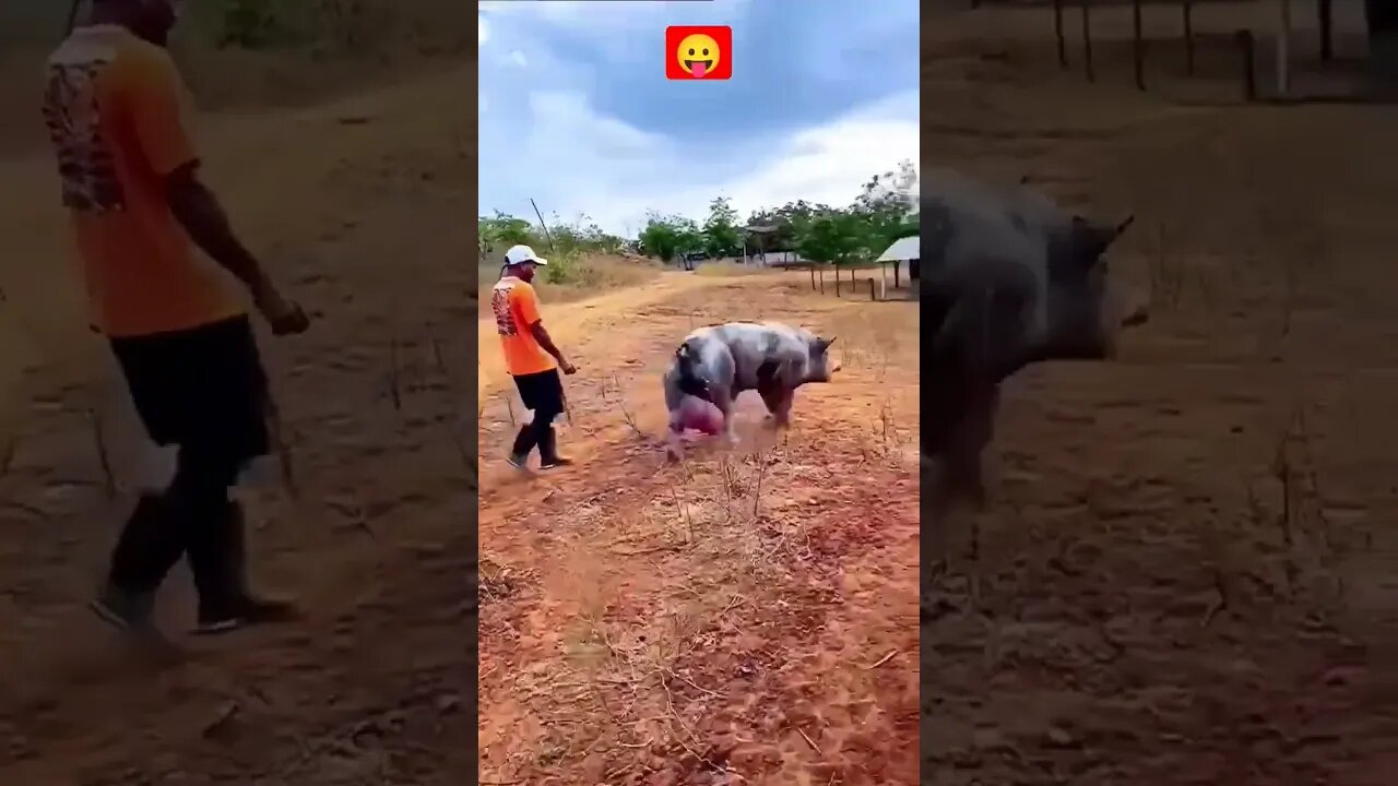 Funny memes 🤣😜#shorts